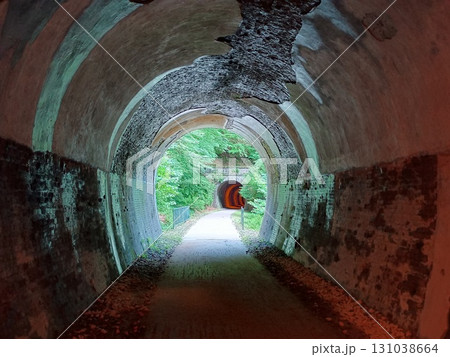 森へ続く廃線跡のトンネルを内側から眺める 131038664
