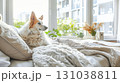 Dog resting on cozy bed near window with soft blankets and plants creating a serene atmosphere 131038811
