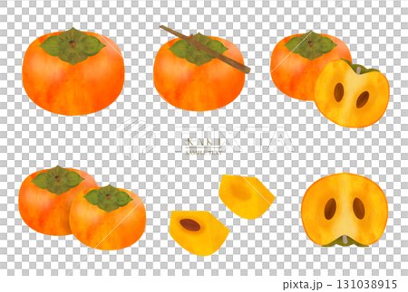 柿子水彩插畫素材集 131038915