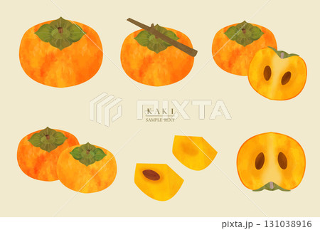 柿のイラスト素材セット（水彩風ベクター） 131038916