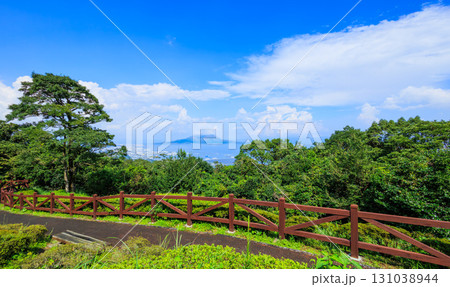 錦江台展望公園スカイぱれっと　桜島の眺望 131038944