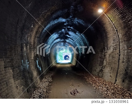 森へ続く廃線跡のトンネルを内側から眺める 131038961
