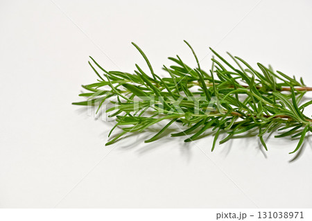 ローズマリー 131038971