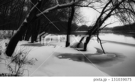 Winter Riverside Serenity: A Frosty Tale Along the Riverbanks 131039075