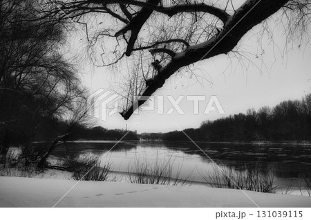 Winter Riverside Serenity: A Frosty Tale Along the Riverbanks 131039115