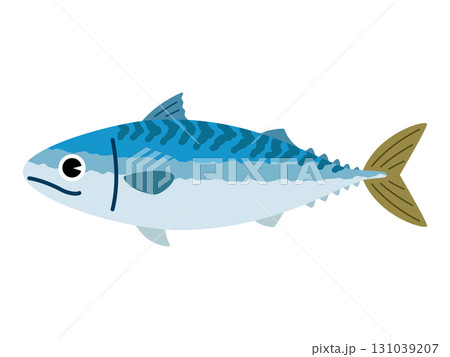 サバ・鯖のイラスト／一尾 131039207