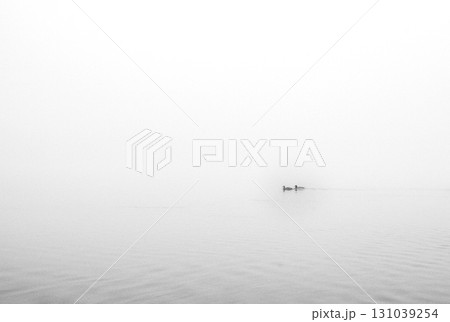 The dense mist obscures the details of the landscape 131039254