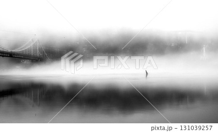 The thick fog lends an air of mystery to the scene. 131039257