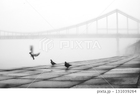 A solitary bridge emerges from the ethereal embrace of mist. A solitary bridge emerges from the ethereal embrace of mist. 131039264