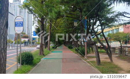 A tranquil tree-lined path in gimhae city leading towards gimhae international airport, south korea 131039647