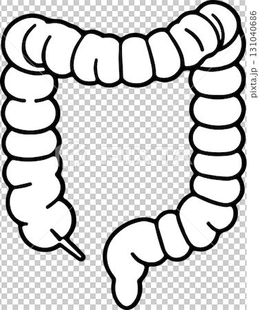 具有透明背景的大腸線圖示向量圖像 具有透明背景的大腸線圖示向量圖像 131040686