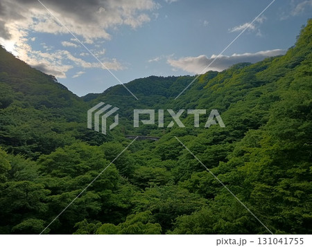 緑深き渓谷に架かる橋 緑深き渓谷に架かる橋 131041755