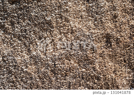 Fragment of a rocky surface. Fragment of a rocky surface. 131041878