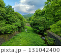 新緑に包まれた田舎の小川 131042400