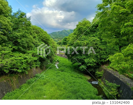 新緑に包まれた田舎の小川 新緑に包まれた田舎の小川 131042400