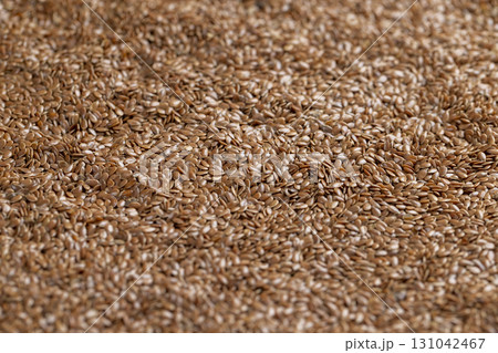 flax seeds for closeup sowing, a large number of light brown flax seeds for a new crop or germination for nutrition 131042467