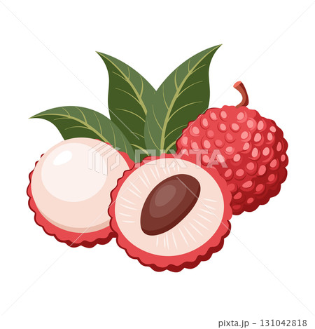 Fresh lychee fruits. Sweet and juicy tropical fruit. Botanical illustration. Fresh lychee fruits. Sweet and juicy tropical fruit. Botanical illustration. 131042818