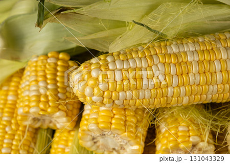 Fresh raw corn cobs close-up with green husks Fresh raw corn cobs close-up with green husks 131043329
