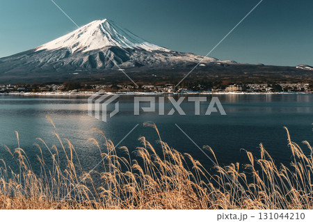 枯れ草の揺れる冬の河口湖と富士山 131044210