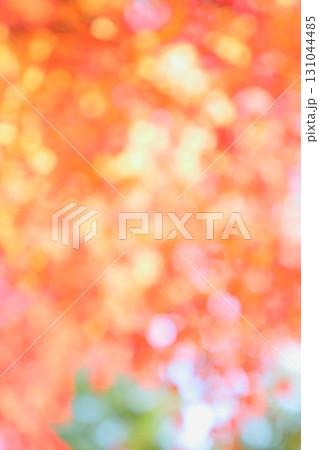 かえでの紅葉のアウトフォーカス 【丸ボケ】 【ボケ】 131044485
