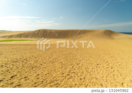 鳥取砂丘 131045902