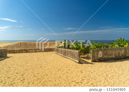 鳥取砂丘 131045905