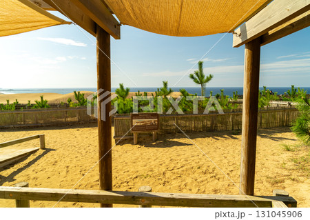 鳥取砂丘 131045906