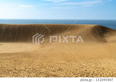 鳥取砂丘 131045907