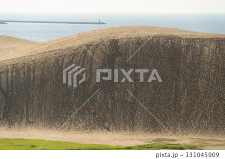 鳥取砂丘 131045909