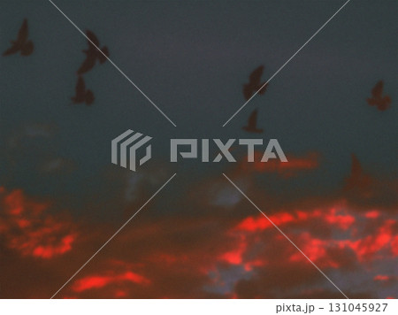 Birds flying against a fiery sunset sky. Silhouetted birds soar across a dramatic sky ablaze with fiery red and orange hues 131045927