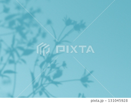 Soft floral shadows on a teal background. A beautiful display of flowers shadows is cast on a teal blue surface, with a gradient from light to dark. Natural and minimalist design. Botanical art. 131045928