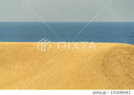 鳥取砂丘 131046461