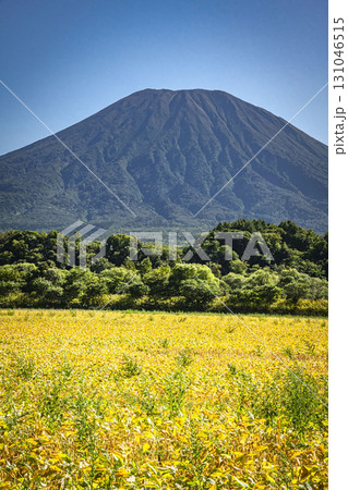 北海道倶知安町の風景 北海道倶知安町の風景 131046515