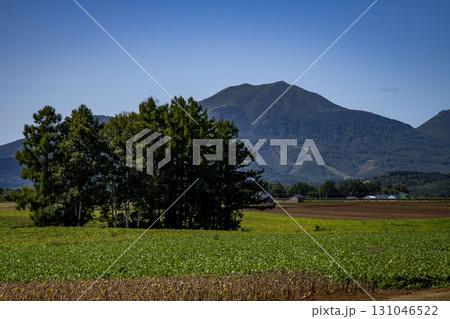 北海道倶知安町の風景 131046522
