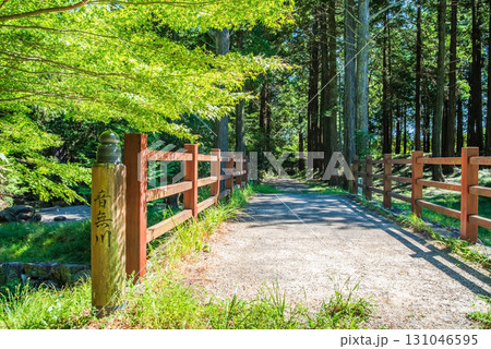 尾高観音 参道 音無川《三重県 三重郡 菰野町》 尾高観音 参道 音無川《三重県 三重郡 菰野町》 131046595