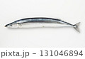 生サンマ 131046894