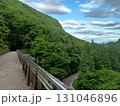 森林に囲まれた山間部の遊歩道、下方に蛇行する舗装道路の遠景 131046896