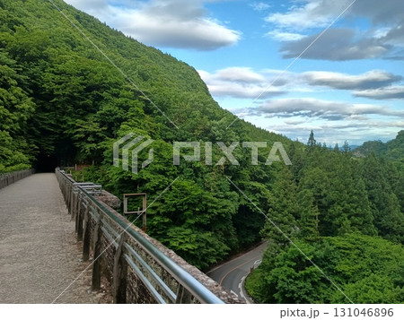 森林に囲まれた山間部の遊歩道、下方に蛇行する舗装道路の遠景 森林に囲まれた山間部の遊歩道、下方に蛇行する舗装道路の遠景 131046896