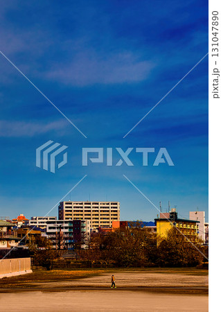 野間大池公園を散歩する人 野間大池公園を散歩する人 131047890