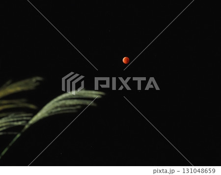 すすき越しの皆既月食(20250908033354) すすき越しの皆既月食(20250908033354) 131048659