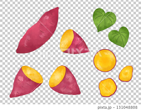 Watercolor sweet potato illustrations | Perfect for autumn flavors and appetites. Design materials for recipes and food events. 131048808