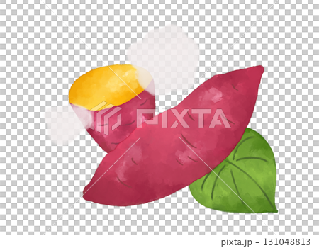 水彩風さつまいもイラスト素材｜秋の味覚や食欲の秋にぴったり レシピや食イベント向けデザイン素材 131048813