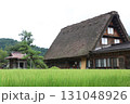 夏の白川郷の風景 131048926