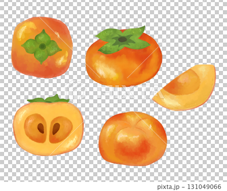 Watercolor illustration of persimmon, autumn fruit material that can be used for seasonal events, food packaging, and recipes 131049066