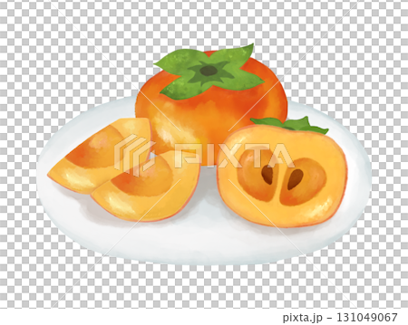 柿の水彩画イラスト、季節イベントや食品パッケージやレシピに使える秋の果物素材 131049067
