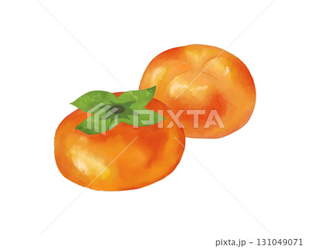 柿の水彩画イラスト、季節イベントや食品パッケージやレシピに使える秋の果物素材 柿の水彩画イラスト、季節イベントや食品パッケージやレシピに使える秋の果物素材 131049071