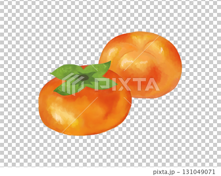 柿の水彩画イラスト、季節イベントや食品パッケージやレシピに使える秋の果物素材 柿の水彩画イラスト、季節イベントや食品パッケージやレシピに使える秋の果物素材 131049071
