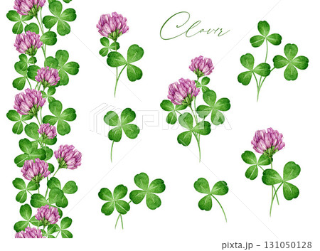 Red clover wildflower plant watercolor illustration set. Hand drawn Trifolium pratense herb flowers, leaves, seamless border elements on white background 131050128