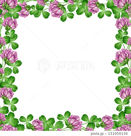 Red clover herb square frame watercolor illustration. Hand drawn Trifolium pratense wildflower flowers, leaves in elegant floral frame decor element on white background 131050130