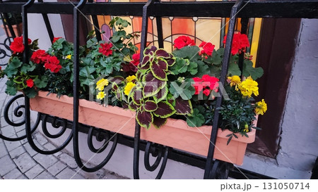 Colorful flower box adorns a railing in a charming urban setting Colorful flower box adorns a railing in a charming urban setting 131050714